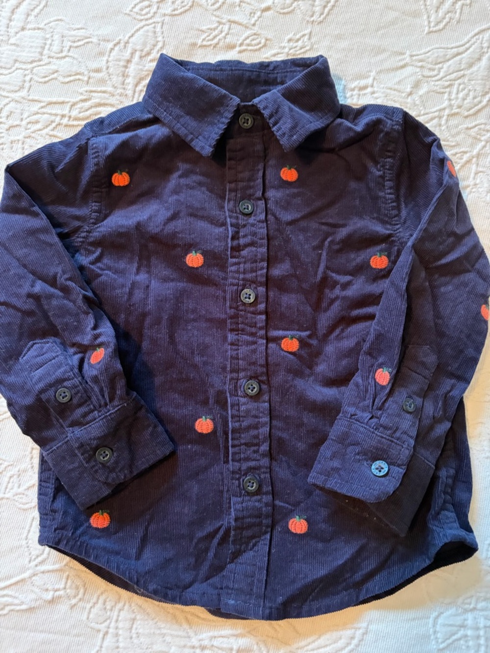Janie and Jack boys 12-18m Navy Pumpkin-Embroidered Button-Down Shirt